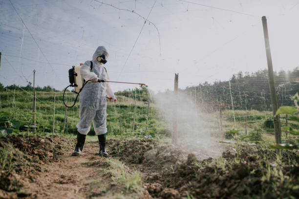 Best Mosquito Control Services  in Spearman, TX