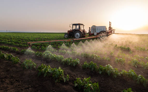 Best Pest Prevention Services  in Spearman, TX