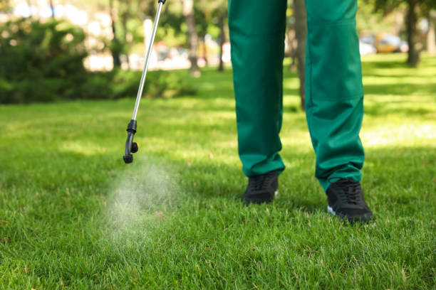 Best Affordable Exterminators  in Spearman, TX
