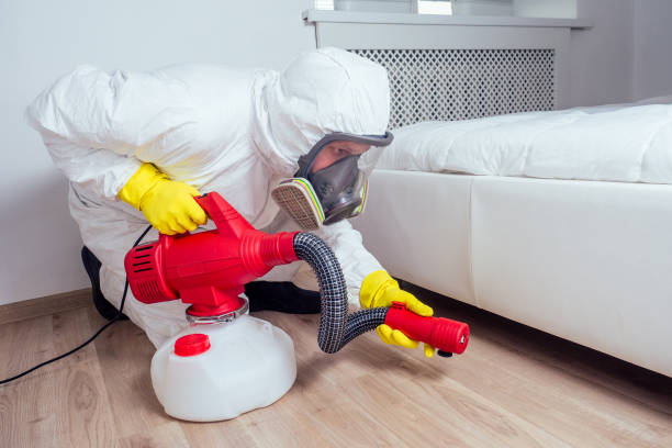 Best Exterminator Services  in Spearman, TX