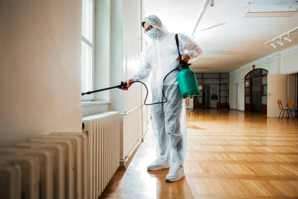 Best Cockroach Control Services  in Spearman, TX