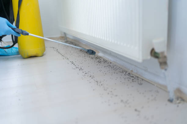 Pest Control Cost in Spearman, TX