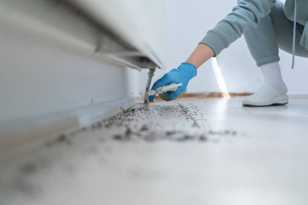 Best Commercial Pest Control Services  in Spearman, TX