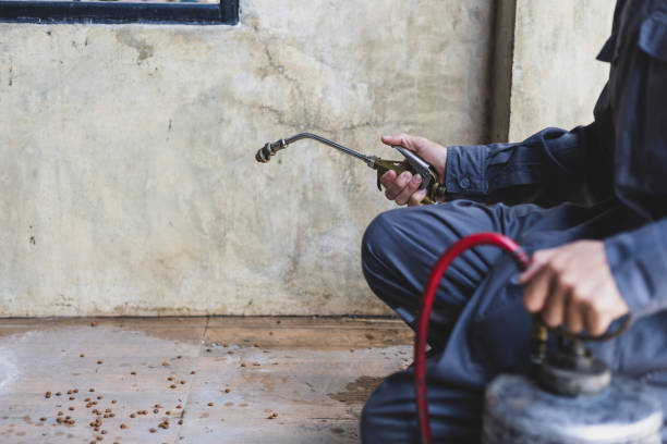Best Pest Control Near Me in Spearman, TX