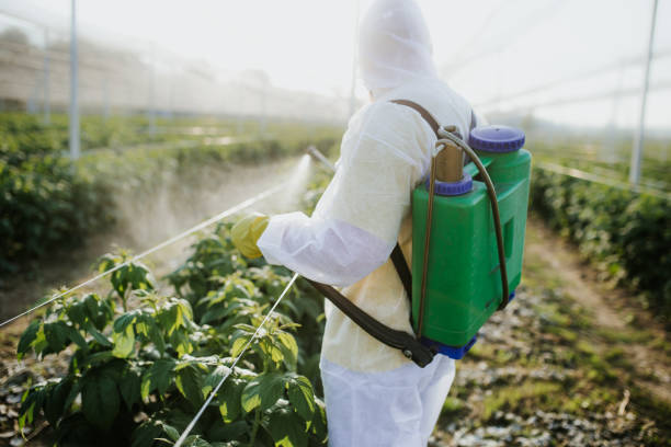 Best Insect Control  in Spearman, TX